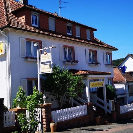 Hotel Irene Bad König Buitenkant foto