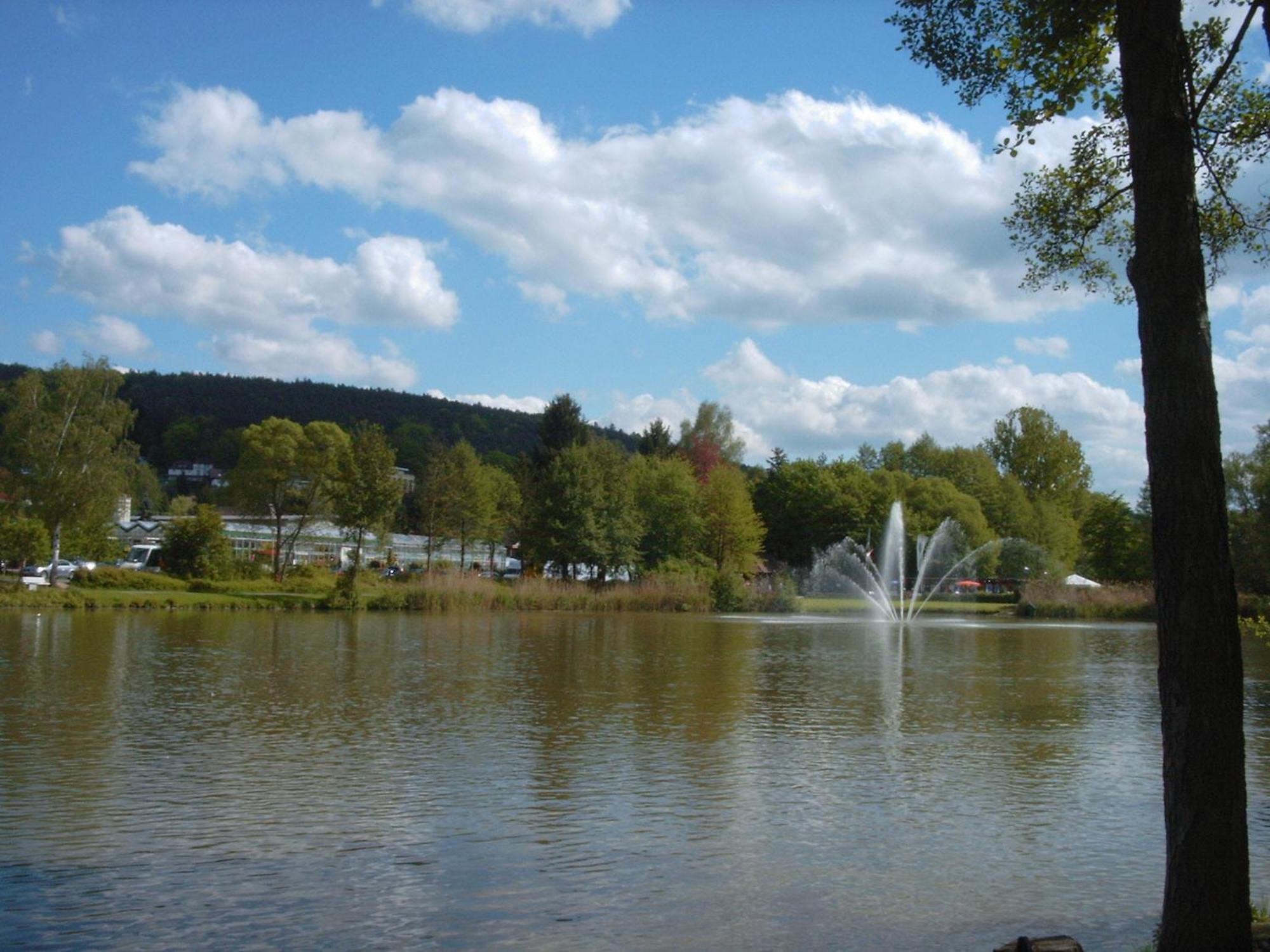 Hotel Irene Bad König Buitenkant foto