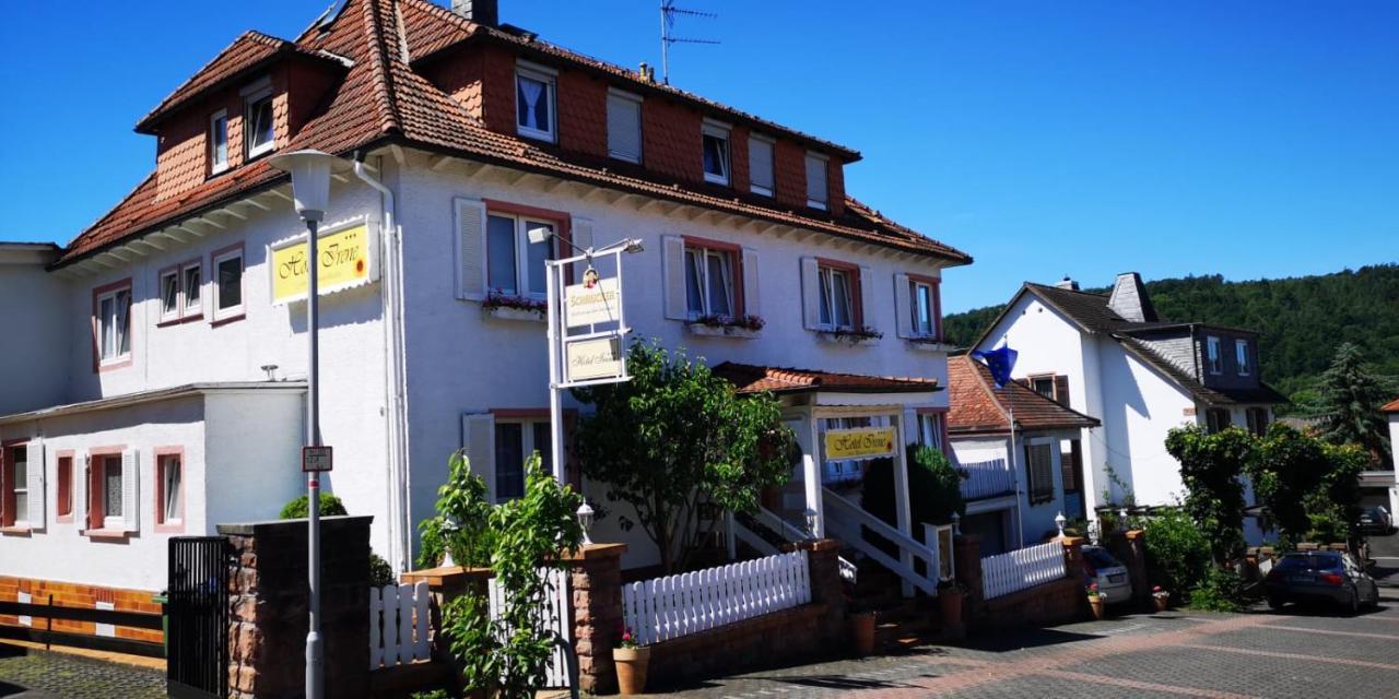 Hotel Irene Bad König Buitenkant foto